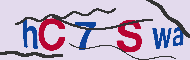 キャプチャ(CAPTCHA)認証コード
