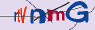 キャプチャ(CAPTCHA)認証コード